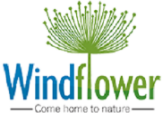 Local Businesses Windflower in Kolkata 