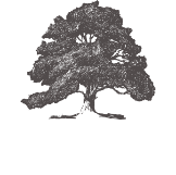 Walnut Timber Buyers