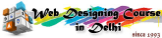 Local Businesses Web Designing Course in Delhi 