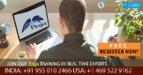 Pega Online Course