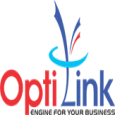 Optilink Networks