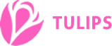 Tulips Ladies | Womens | Girls Hostels