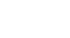 Seagull Metal