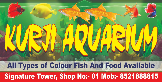 Kurji Aquarium Shop