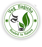 Local Businesses Veg Bagicha in Indore MP