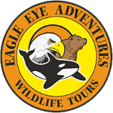 Eagle Eye Adventures