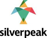 Silverpeak Global