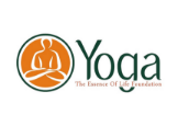 Yoga The Essence Of Life Foundation 