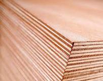 Commercial Plywood