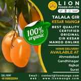 Talala Gir Kesar Mango