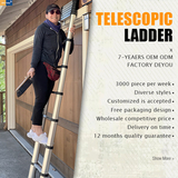 Telescopic Ladder