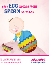 Mums Fertility Centre - Best IVF Center in Hyderabad