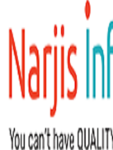 Local Businesses Top IT Company in Ahmedabad,India - Narjis Infotech in Ahmedabad 