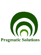 Pragmatic Solution Inc