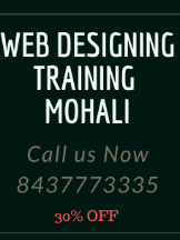 Local Businesses Training in Chandigarh in Mohali 