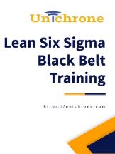 Lean Six Sigma Black Belt Certification Training in Rome, Italy