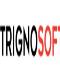 Local Businesses Trignosoft Solutions Pvt Ltd in Noida 