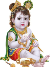 Sri Krishna Astrologer