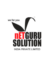 Netguru Solution India Pvt Ltd