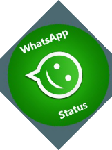 Whatsapp Status