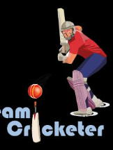 Dream Cricketer Pvt Ltd 