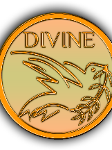 Divine Music Store