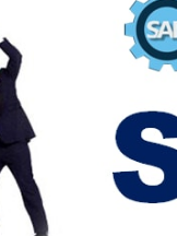 SAP Taining institute