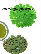 moringawholesale