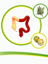 Ulcerative Colitis Cure